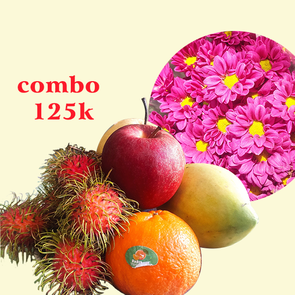 Combo mâm ngũ quả và hoa mai tím